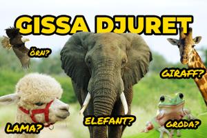 Gissa djuret musikquiz