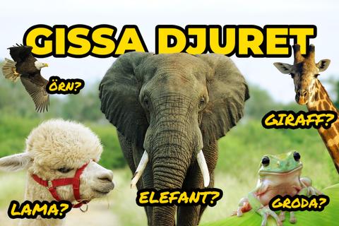 Gissa djuret musikquiz